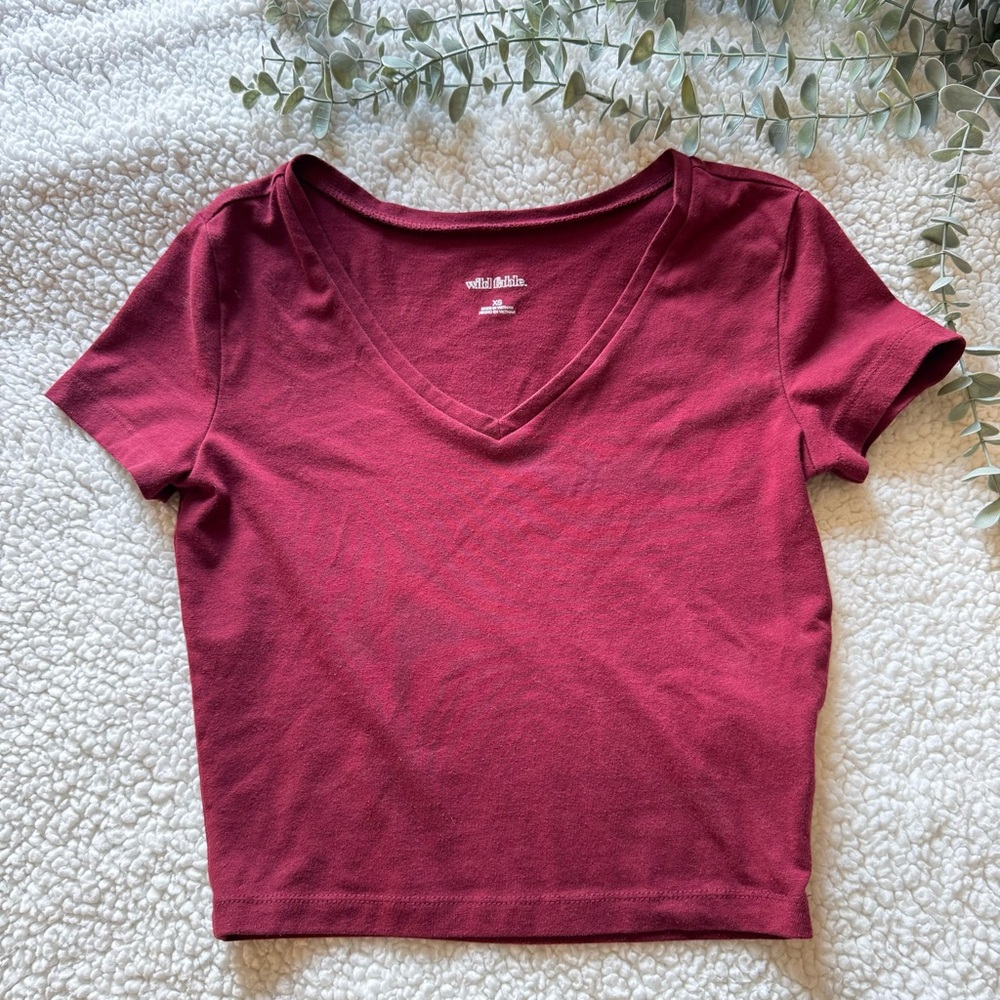 Wild Fable Basic Solid Red V-neck Short Sleeve Crop Top T-Shirt